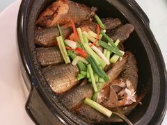 砂锅鲜鱼-同发大酒家