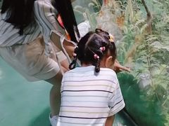 -上海大自然野生昆虫馆(东方明珠·爬宠昆虫探索中心)