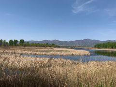 -野鸭湖国家湿地公园