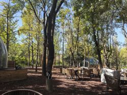 -吨儿熊自然探险乐园·儿童AR自然探索·家庭户外运动(奥林匹克森林公园店)