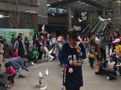 -飞行家太空体验馆(祥云小镇店)