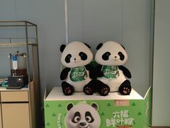 -眉州东坡(望京店)