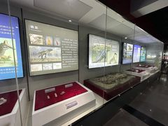 -嘉荫恐龙国家地质公园