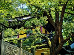 -普陀山风景名胜区-法雨禅寺