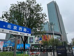 -丝恋丝娃娃(金阳国贸店)