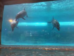 -波塞冬旅游度假区