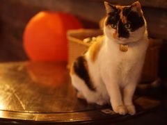 -BUND·FIVE外滩5号(天际店)