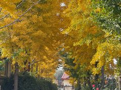 -意大利农场度假村