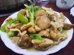 炒青头菌-江川野生菌火锅铜锅鱼(贵清火锅店)