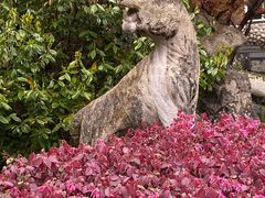 -藏龙百瀑风景区