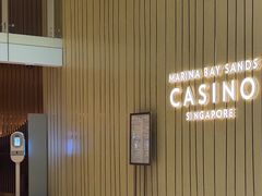 -滨海湾金沙购物商场