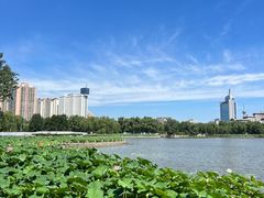 -莲花池公园