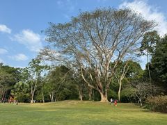 -中国科学院西双版纳热带植物园