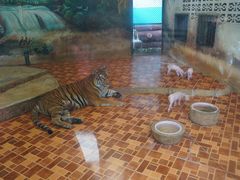 -是拉差龙虎园(Permanently closed)