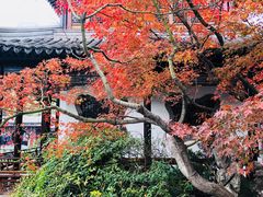 景点-太平天国天王府遗址