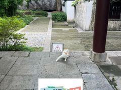 -采石矶景区