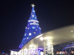 -无招牌海鲜餐厅(怡丰城店)