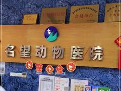 -瑞派名望志远动物医院·猫科·內科·异宠专科(直港大道店)