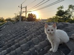 -前叁門