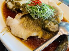 清蒸桂鱼-金时代顺风大酒店(兰生大厦店)