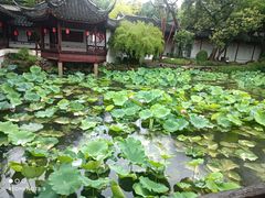 -上海醉白池公园