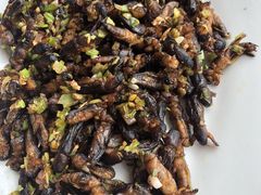 -天强农家菜馆