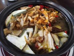 -蘑统田下·野生菌火锅