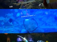 -蓬莱欧乐堡海洋极地世界