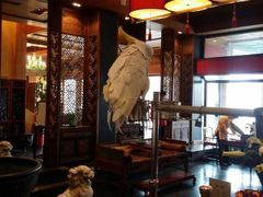 -那家小馆•北京菜•烤鸭(香山店)