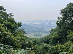 -八卦田遗址公园