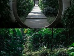 -广州兰圃
