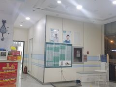 -中农国际动物医院24小时·猫科·骨科·急重症中心