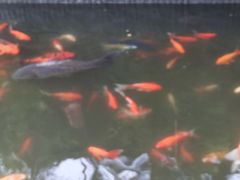-汴河街