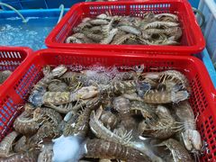 -都斛海鲜街