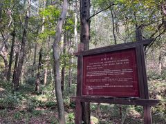 -冶父山国家森林公园