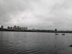 -味臻土鸡杂