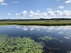 -塞罕坝国家级自然保护区