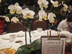 -金河半岛园林酒家(金融城店)