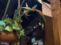 -云海肴·汽锅鸡·云南菜(天津国金汇店)