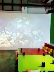 -恐龙探索乐园(磁器口店)