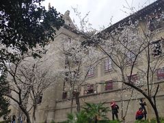 -武汉大学-樱园