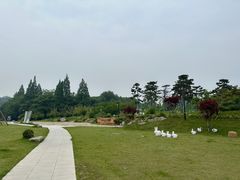 -鲁镇
