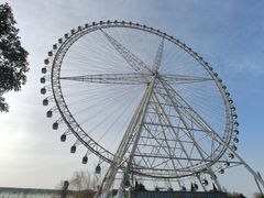 -祥源·阜阳生态乐园