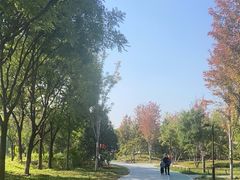 -回龙观体育文化公园