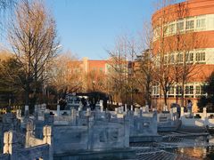 -北京市海淀外国语实验学校