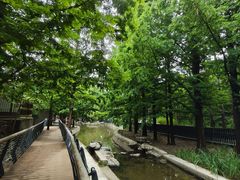 -白水寺森林公园
