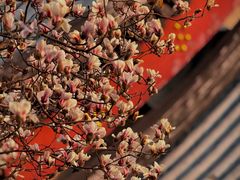 -北京颐和宾馆