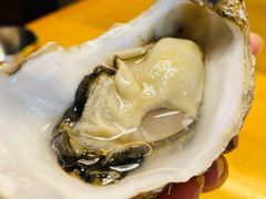 -囧吉香生蚝牛排馆(湖北路店)
