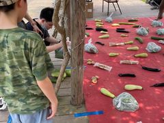 -前小桔亲子创意农场·草莓采摘·露营烧烤