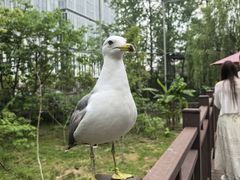 -杭州野生动物世界